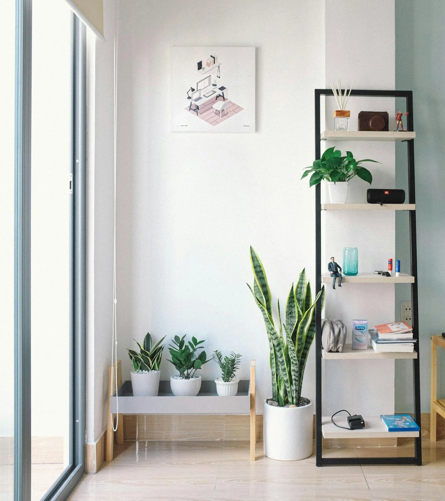 picture of a minimalist room corner with various green potted plants and a black ladder style shelf holding books and decorative items